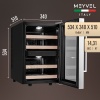 Термоэлектрический винный шкаф Meyvel MV12-BF2 двухзонный