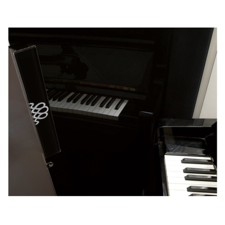 Винный шкаф EuroCave V-Pure-L Сплошная дверь Black Piano, цвет - черный, максимальная комплектация