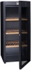 Мультитемпетарутный винный шкаф Avintage DVP180G