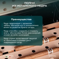 Шкаф для хранения сигар (хьюмидор) Meyvel MC-50BK